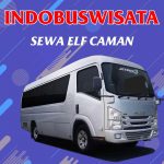 Sewa Elf Caman 009 Sewa Elf Caman Indobuswisata