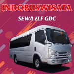 Sewa Elf GDC 023 Sewa Elf Gdc Indobuswisata