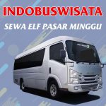 Sewa Elf Pasar Minggu 055 Sewa Elf Pasar Minggu Indobuswisata
