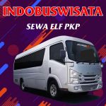 Sewa Elf PKP 060 Sewa Elf Pkp Indobuswisata
