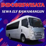 Sewa Elf Rawamangun 066 Sewa Elf Rawamangun Indobuswisata