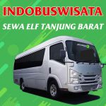 Sewa Elf Tanjung Barat 076 Sewa Elf Tanjung Barat Indobuswisata