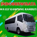 083 Sewa Elf Kampung Rambutan Indobuswisata