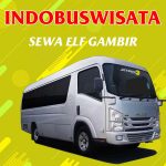 Sewa Elf Gambir 088 Sewa Elf Gambir Indobuswisata