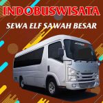 Sewa Elf Sawah Besar 094 Sewa Elf Sawah Besar Indobuswisata
