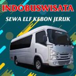 Sewa Elf Kebon Jeruk 099 Sewa Elf Kebon Jeruk Indobuswisata