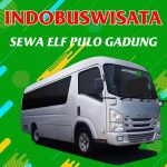 Sewa Elf Pulo Gadung 110 Sewa Elf Pulo Gadung Indobuswisata
