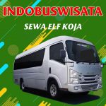 117 Sewa Elf Koja Indobuswisata