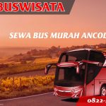 003 Sbm Fp Sewa Bus Murah Ancol Jb 3 Hdd Indobuswisata