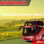 029 Sbm Fp Sewa Bus Murah Ciracas Jb 3 Hdd Indobuswisata