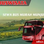 Sewa Bus Murah Munjul 081 Sbm Fp Sewa Bus Murah Munjul Jb 3 Hdd Indobuswisata
