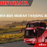 Sewa Bus Murah Tanjung Barat 121 Sbm Fp Sewa Bus Murah Tanjung Barat Jb 3 Hdd Indobuswisata